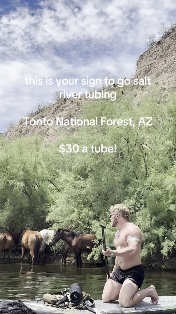 Tonto National Forest Office
