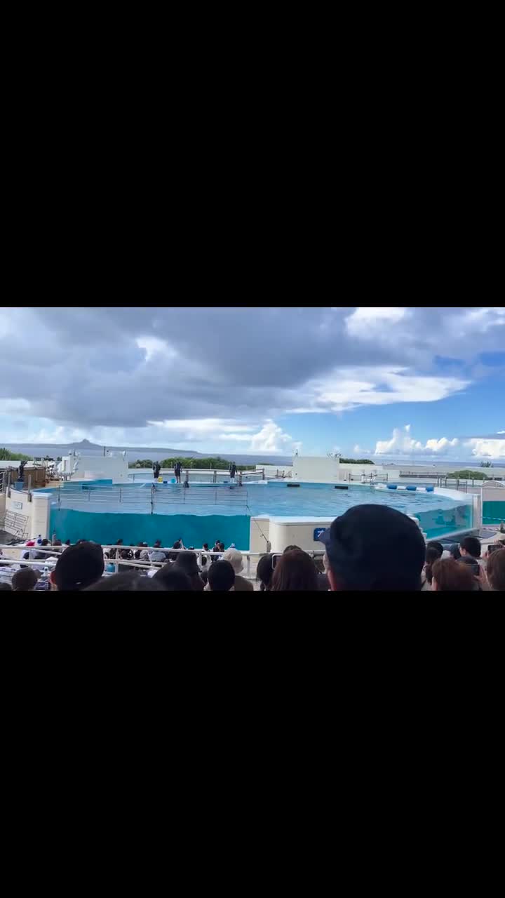Okinawa Churaumi Aquarium (沖縄美ら海水族館)