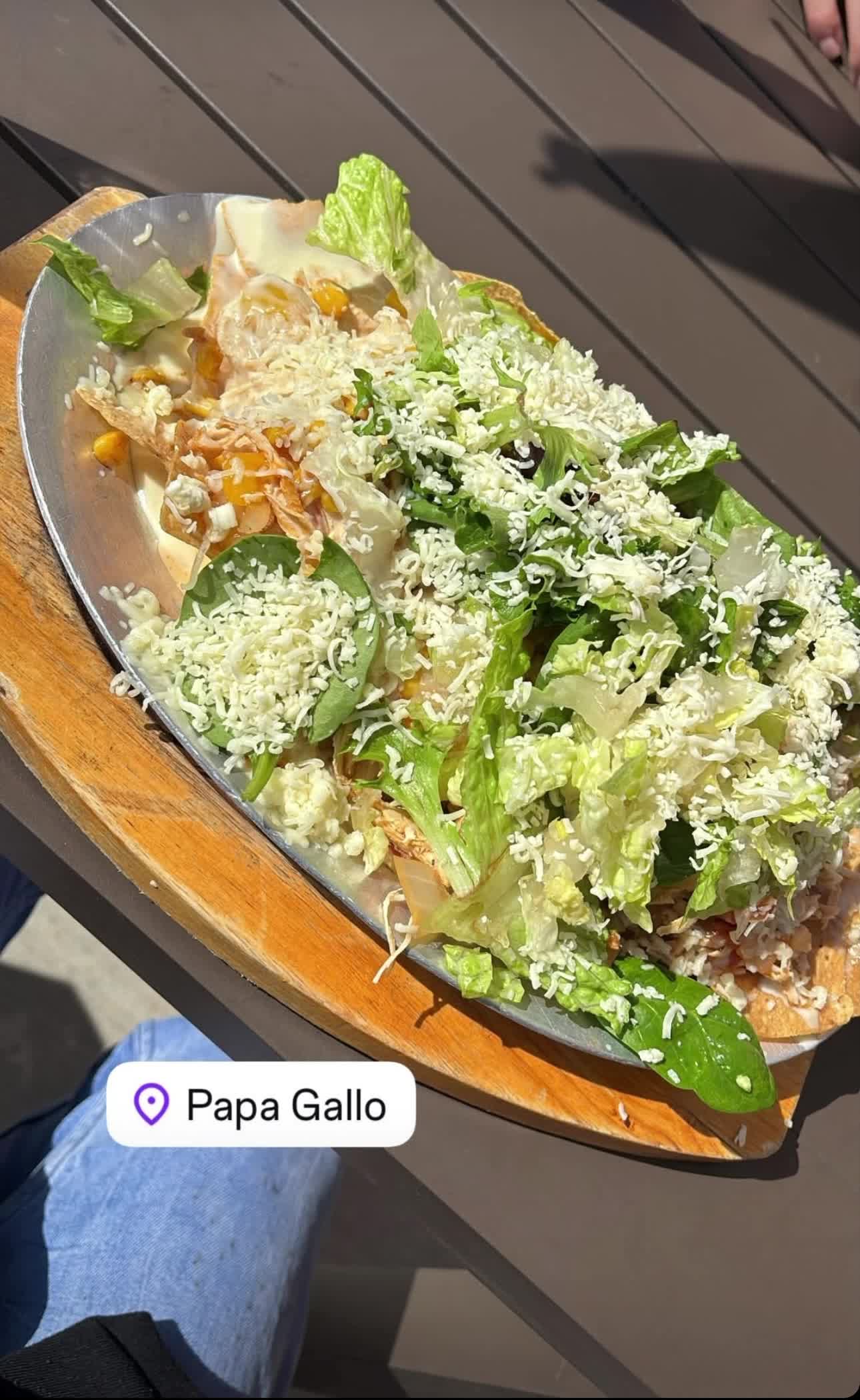 Papa gallo