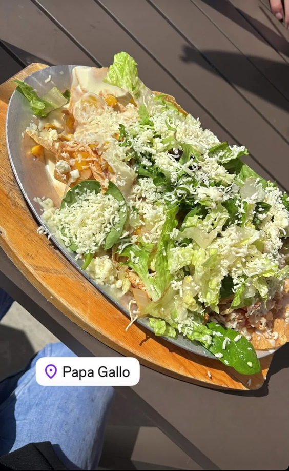 Papa gallo