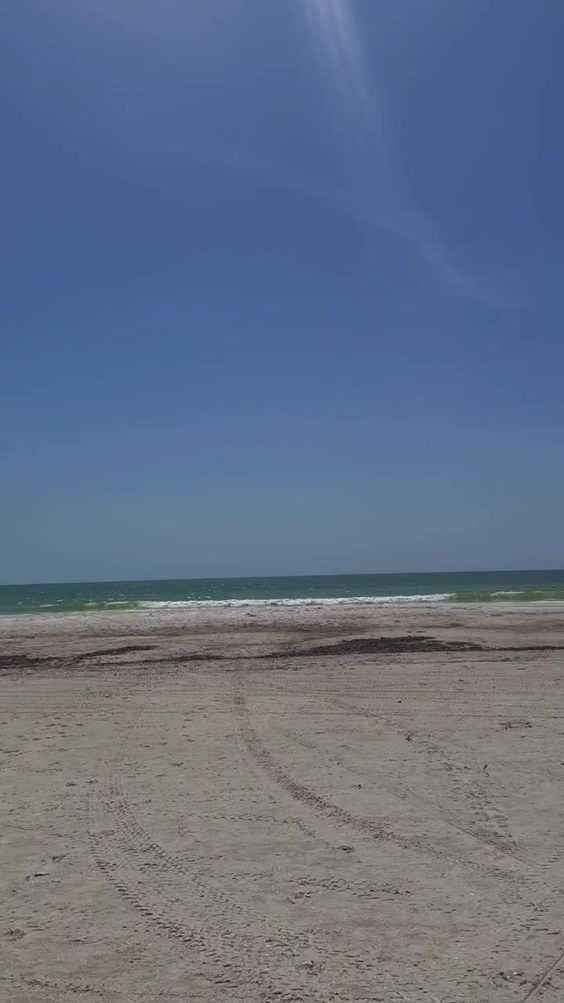 Marco Beach
