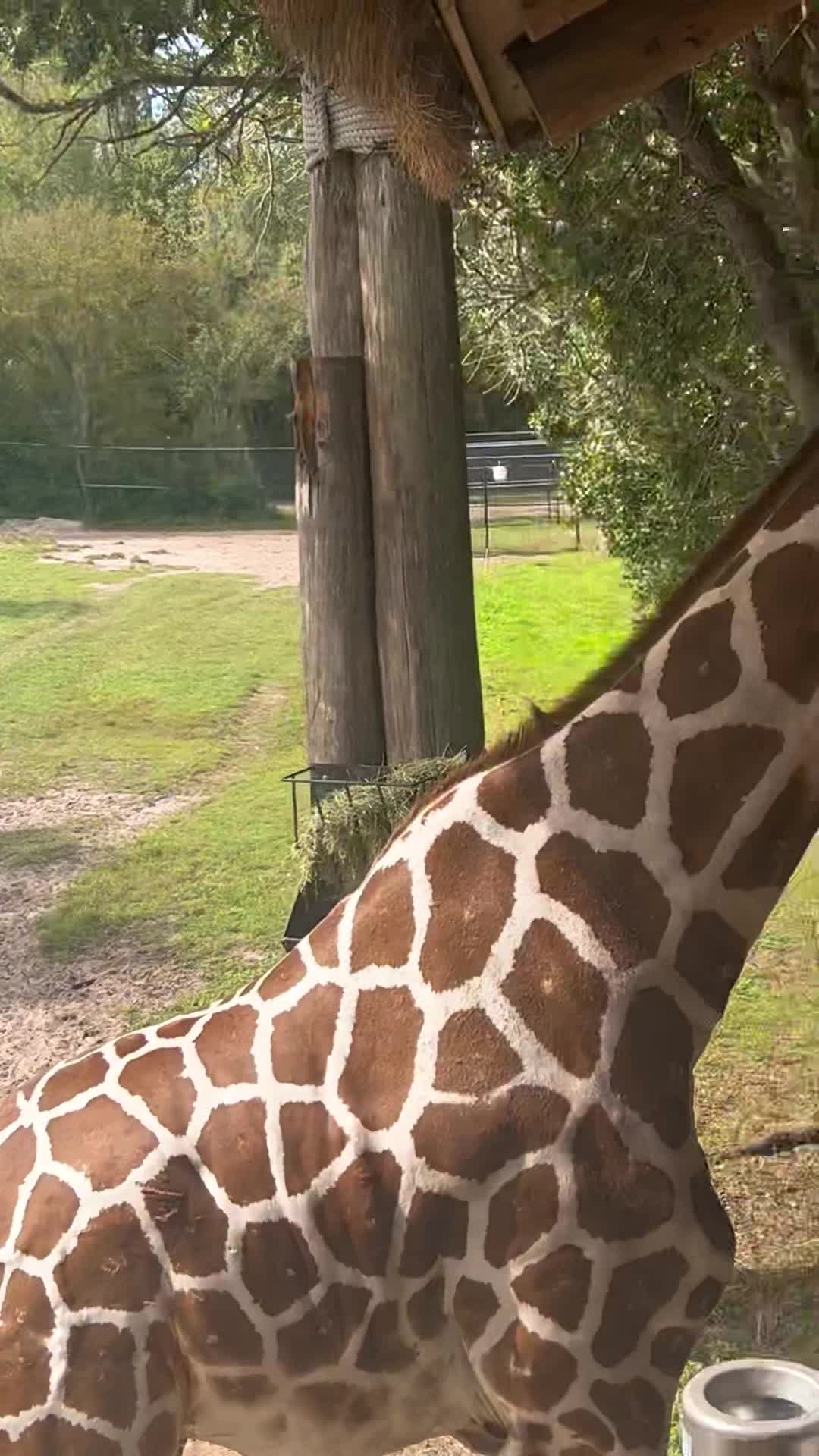 Jacksonville Zoo