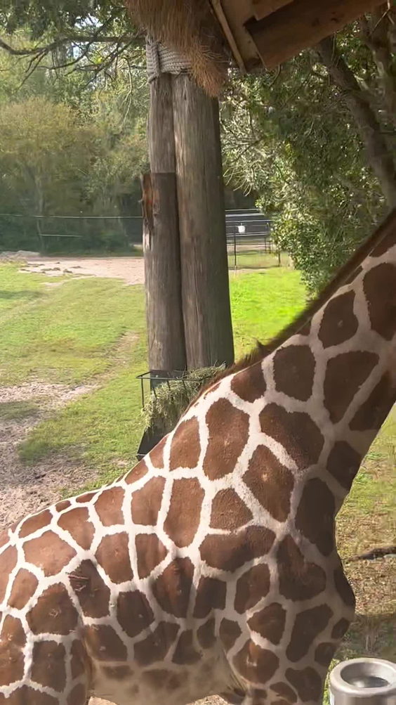 Jacksonville Zoo