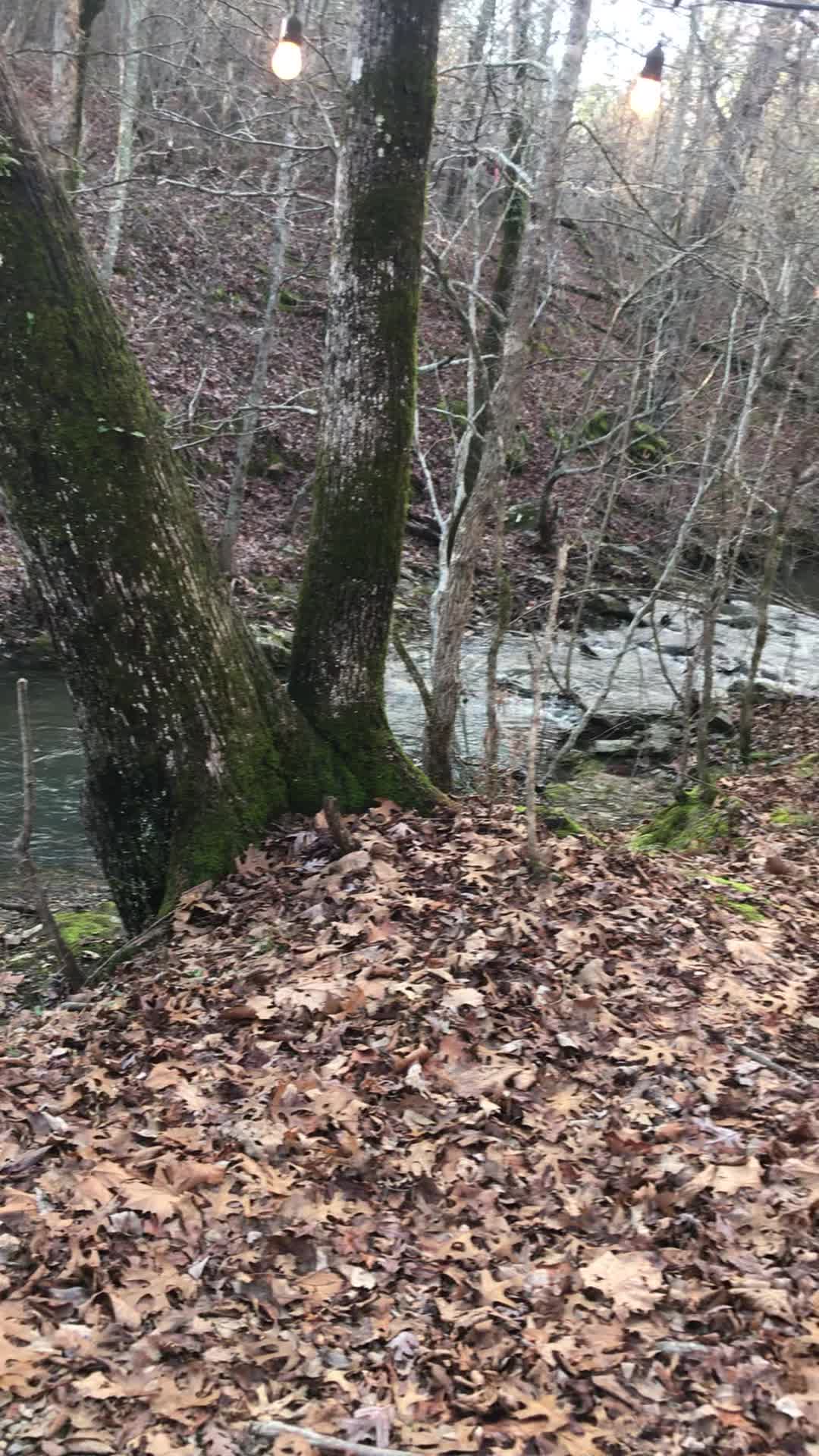 Beavers Bend State Park