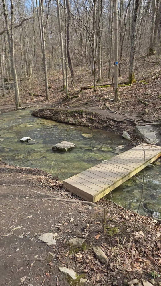 Three Falls Woods
