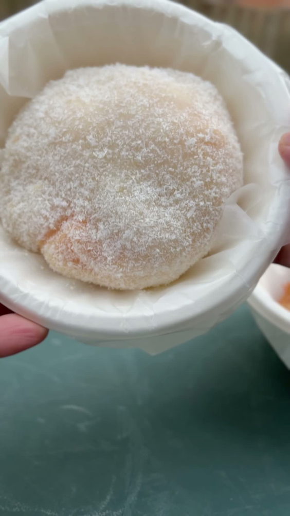 Mochi Lab 