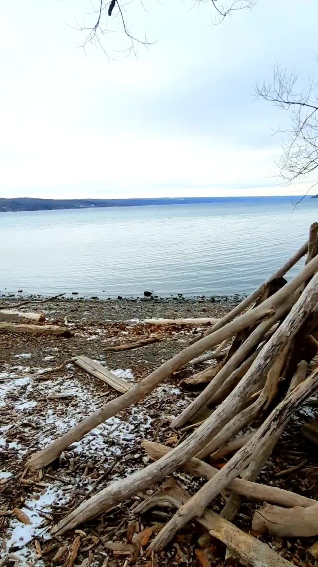 Salt Point
