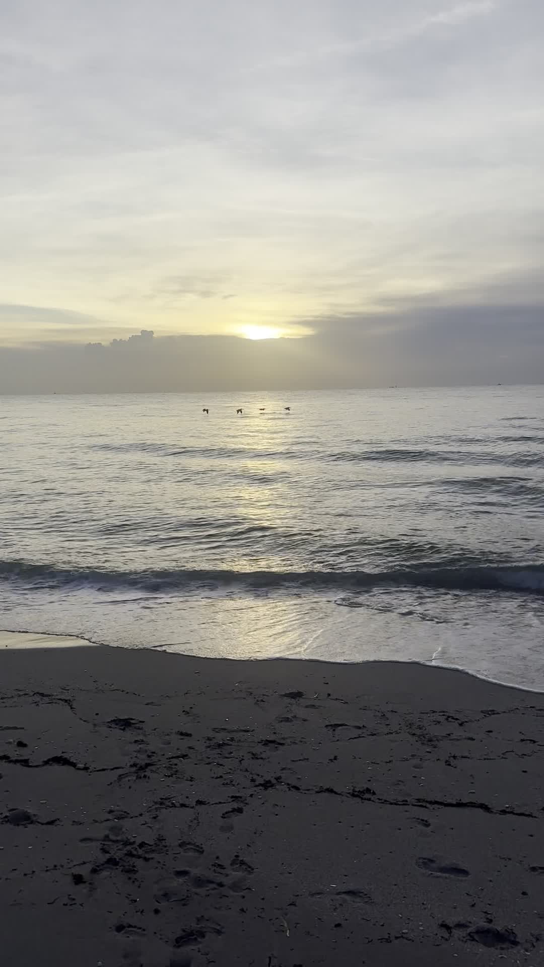 Hollywood Beach