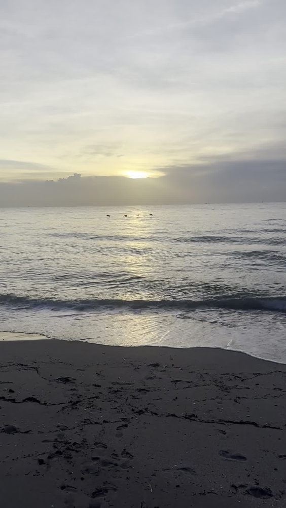 Hollywood Beach