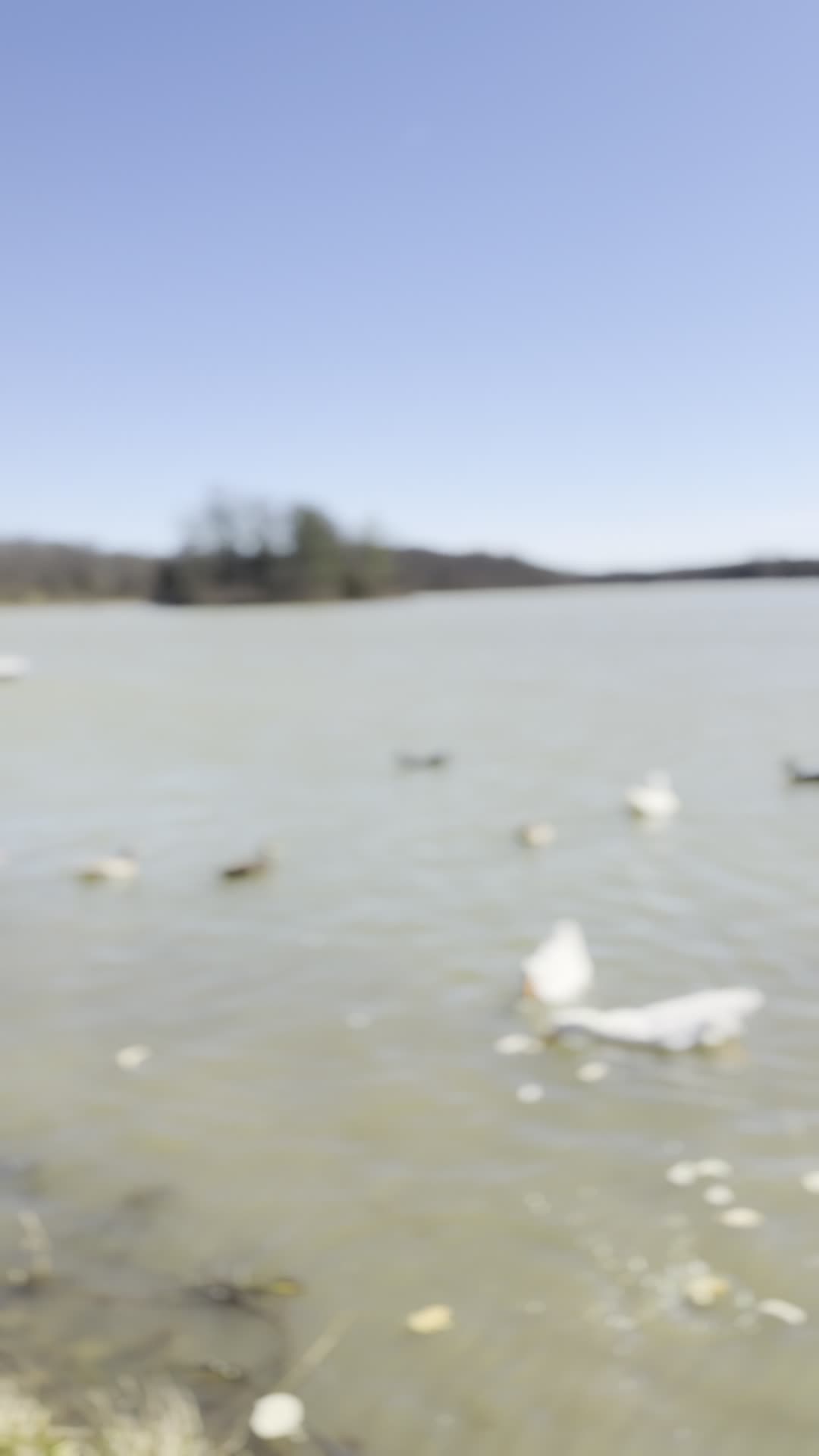 Lake reba