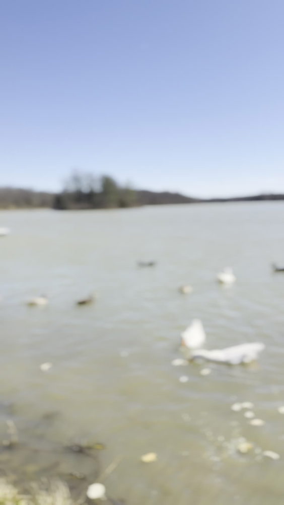 Lake reba