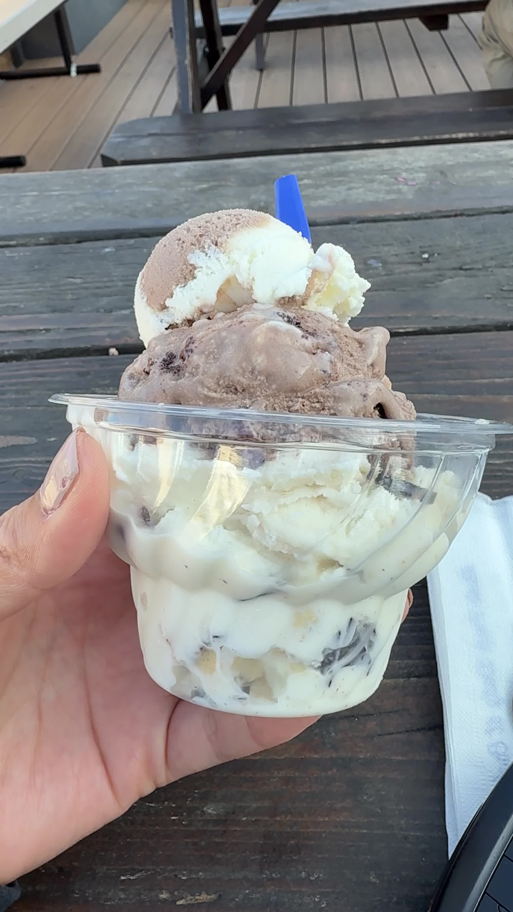 Video review of Handel’s Homemade Ice Cream