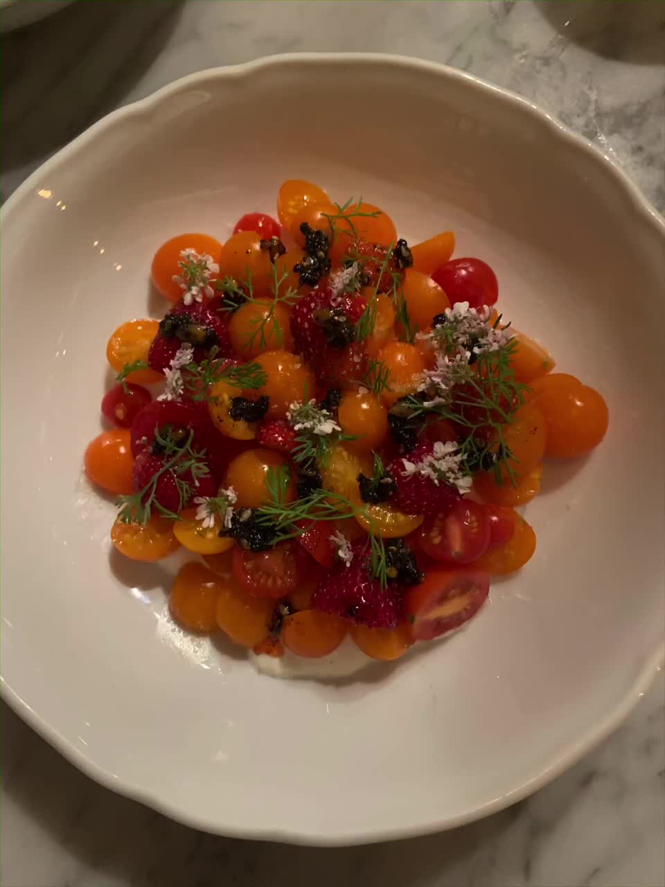 Video review of Bavel