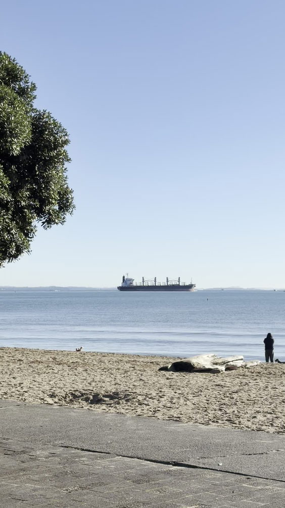 Mission Bay Beach