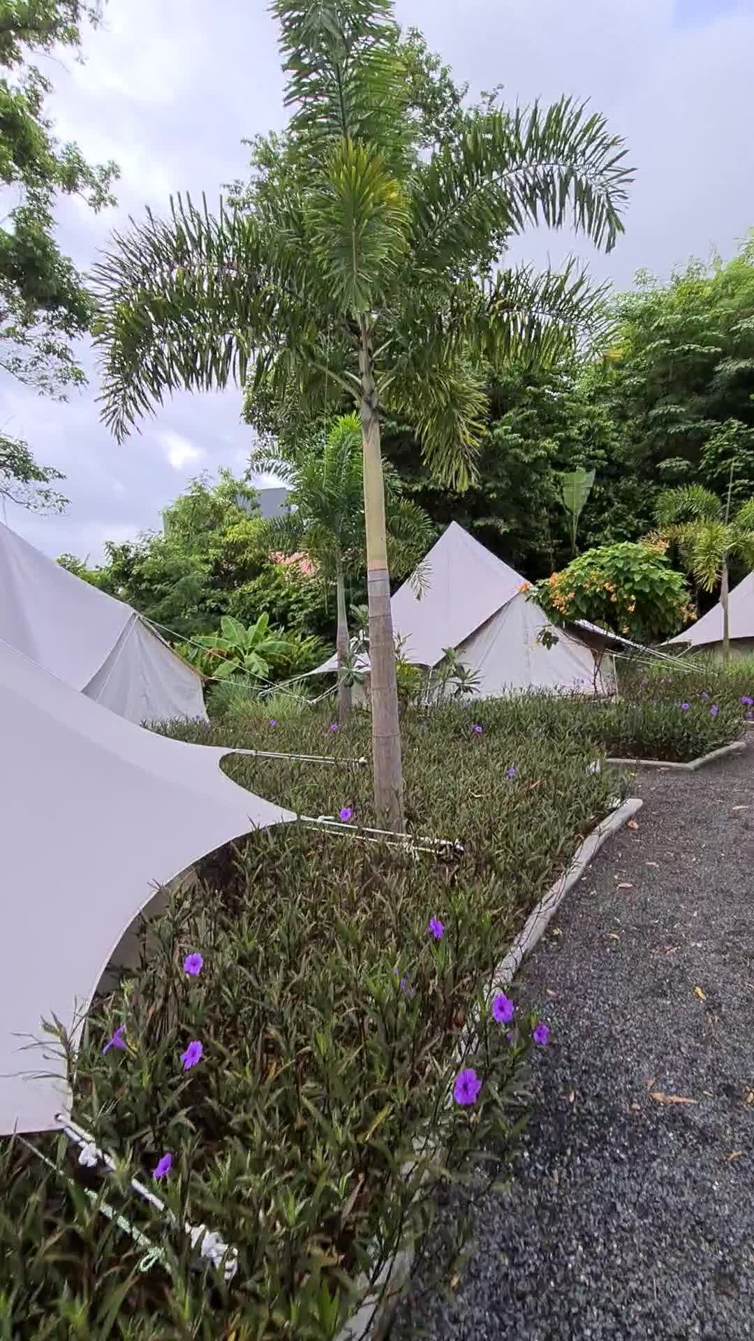 Roost Glamping & Cafe