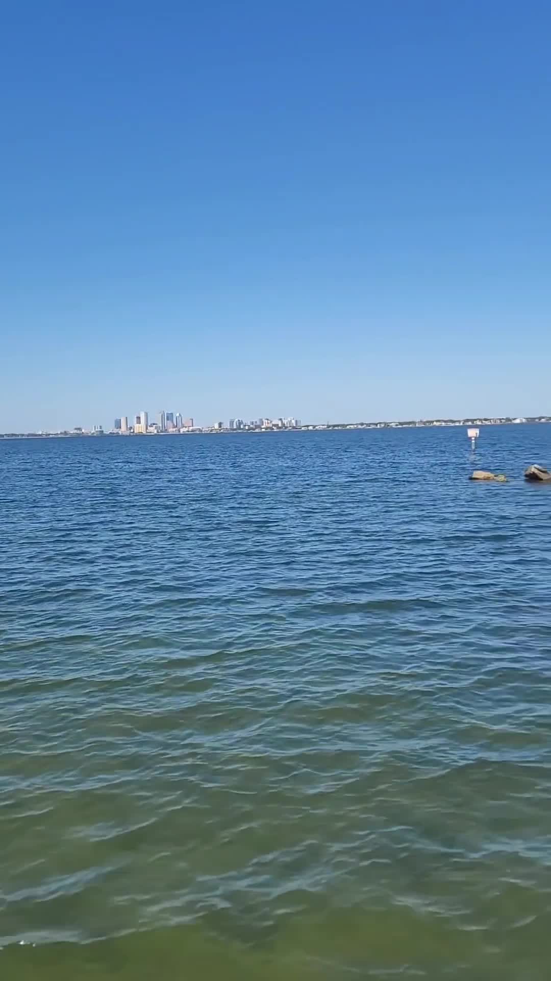Video review of Ballast Point Park