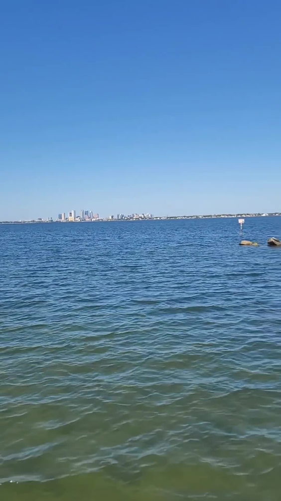 Ballast Point Park