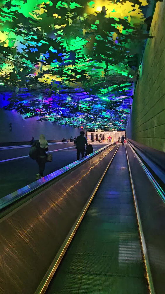 Hartsfield-Jackson Atlanta International Airport (ATL)