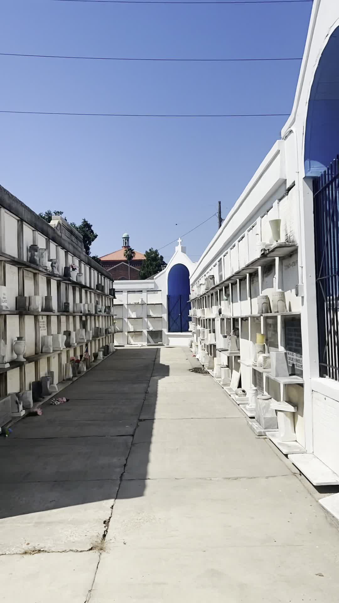 Saint Roch Cemetery #1