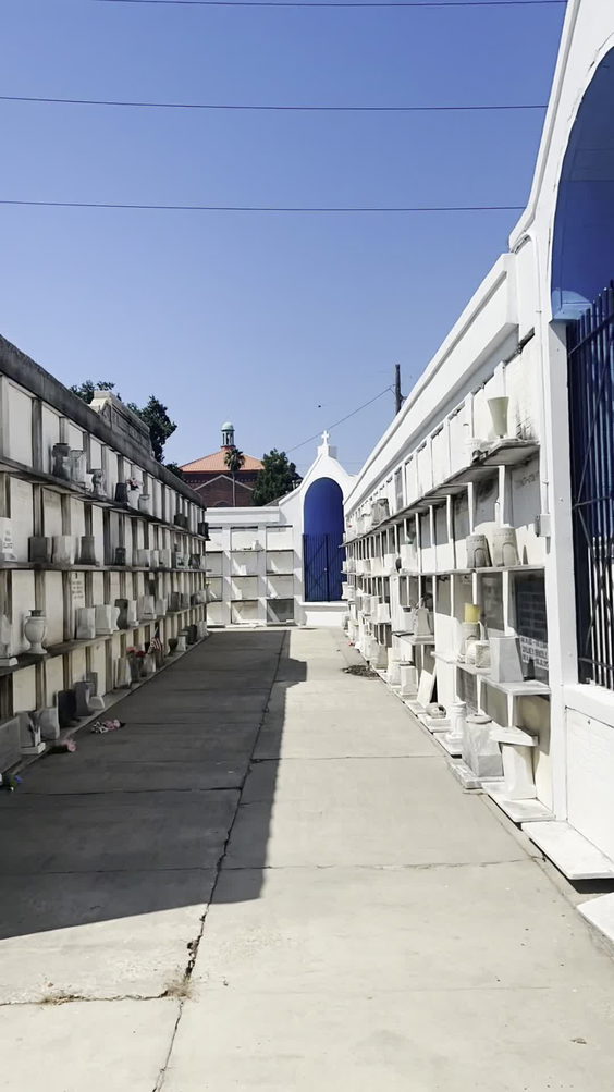 Saint Roch Cemetery #1