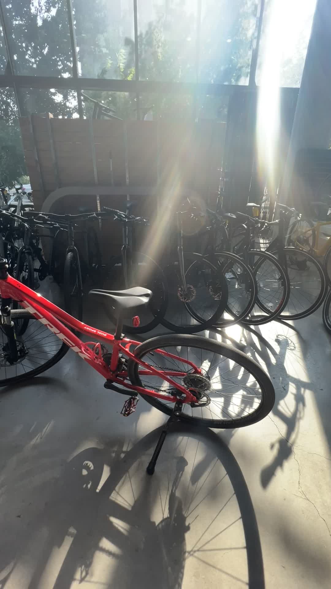 Gears Bike Shop Toronto