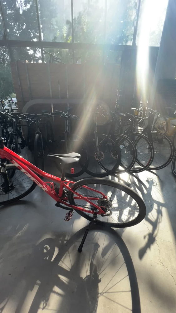 Gears Bike Shop Toronto
