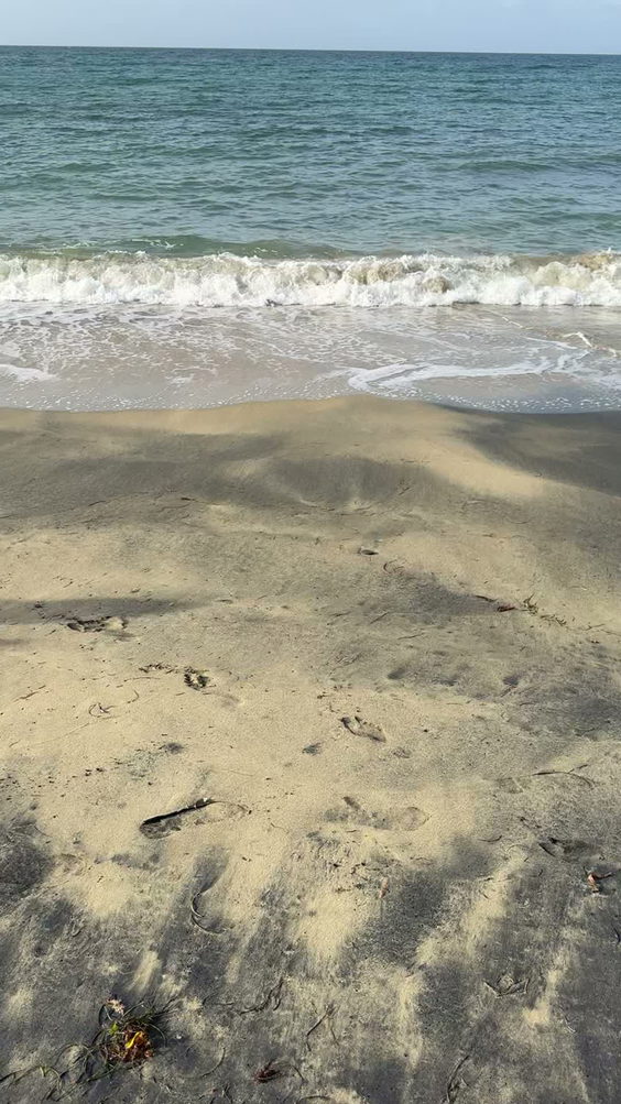 Playa Negra