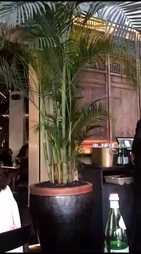 TANG restaurant