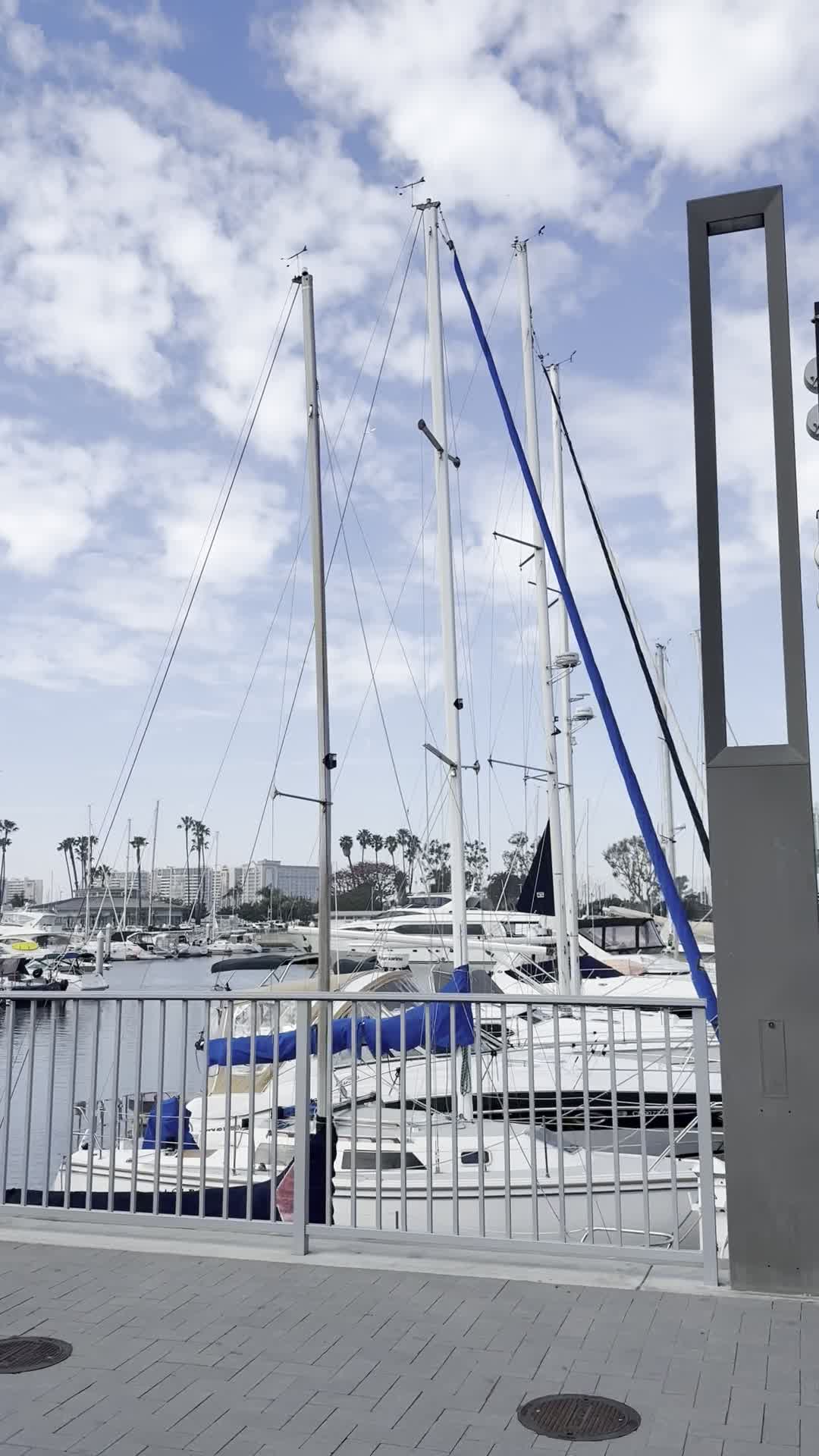 Video review of Marina del Rey Harbor