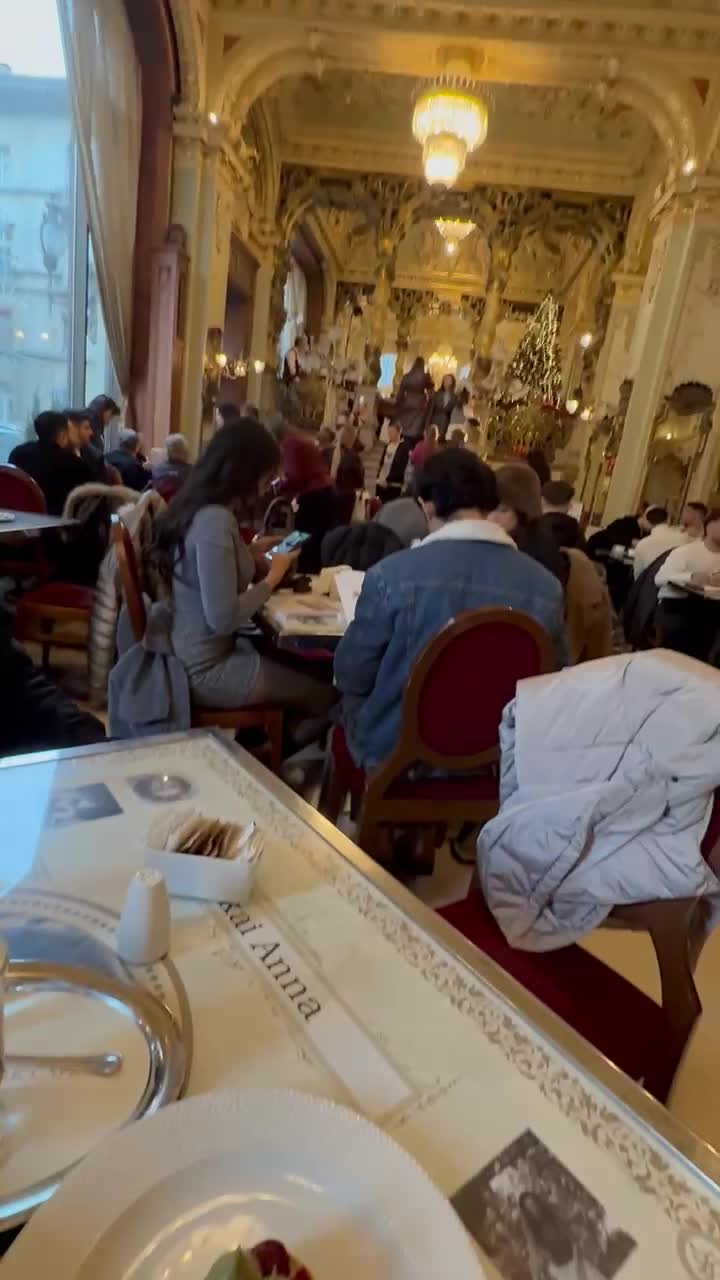 Video review of New York Café