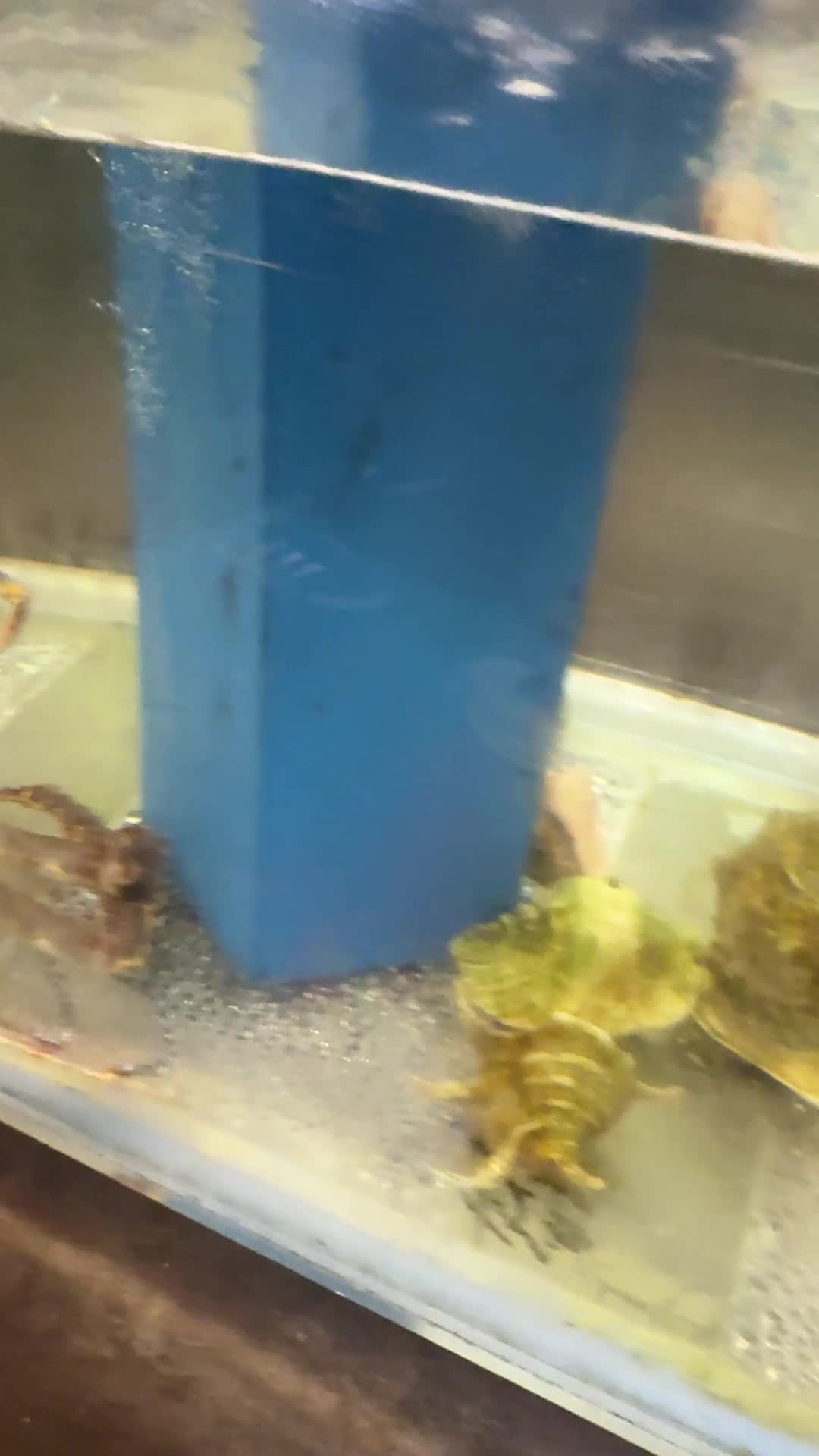 Newport Seafood Restaurant