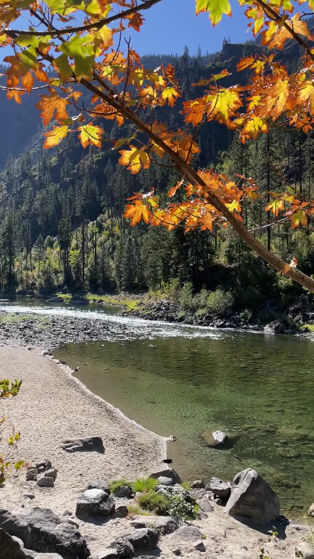 Eight mile campground