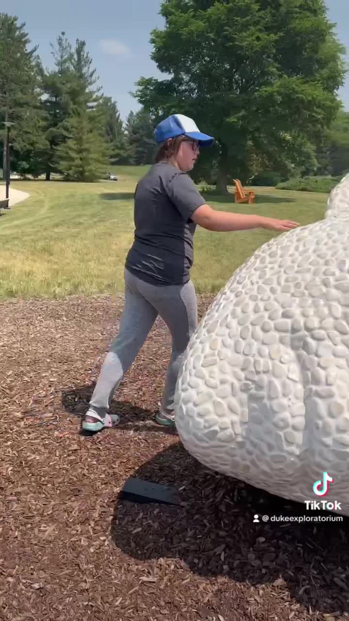 Video review of The Morton Arboretum