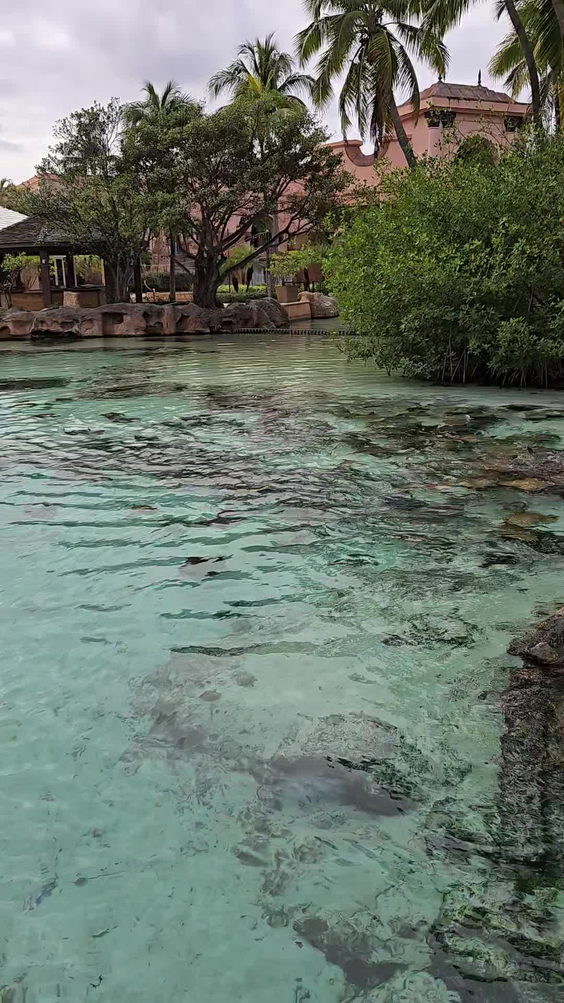 Atlantis Paradise Island