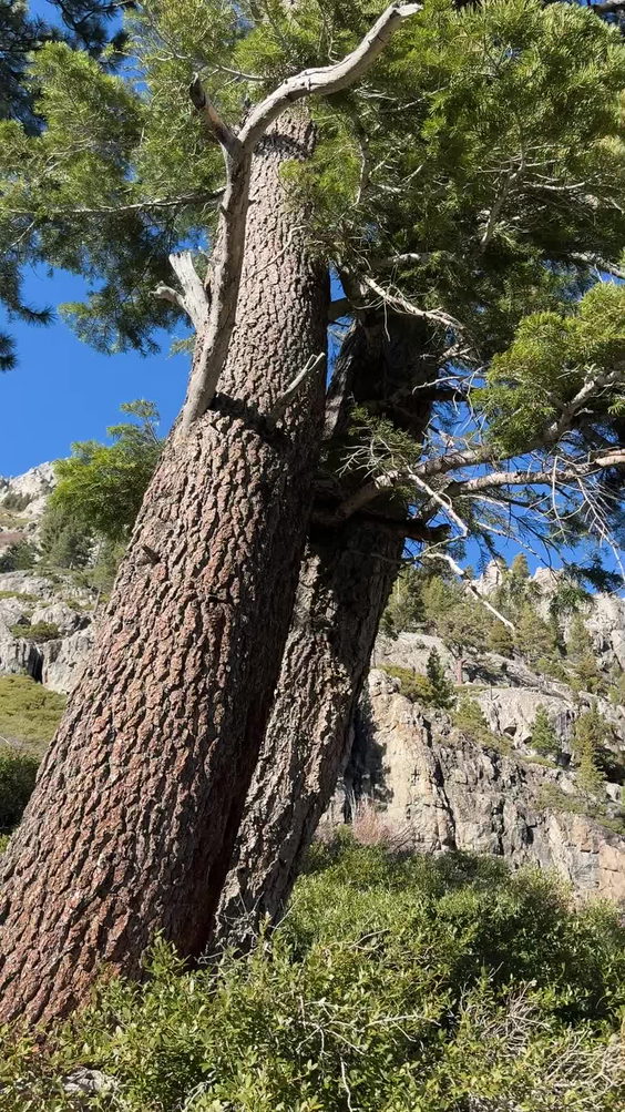Eagle rock