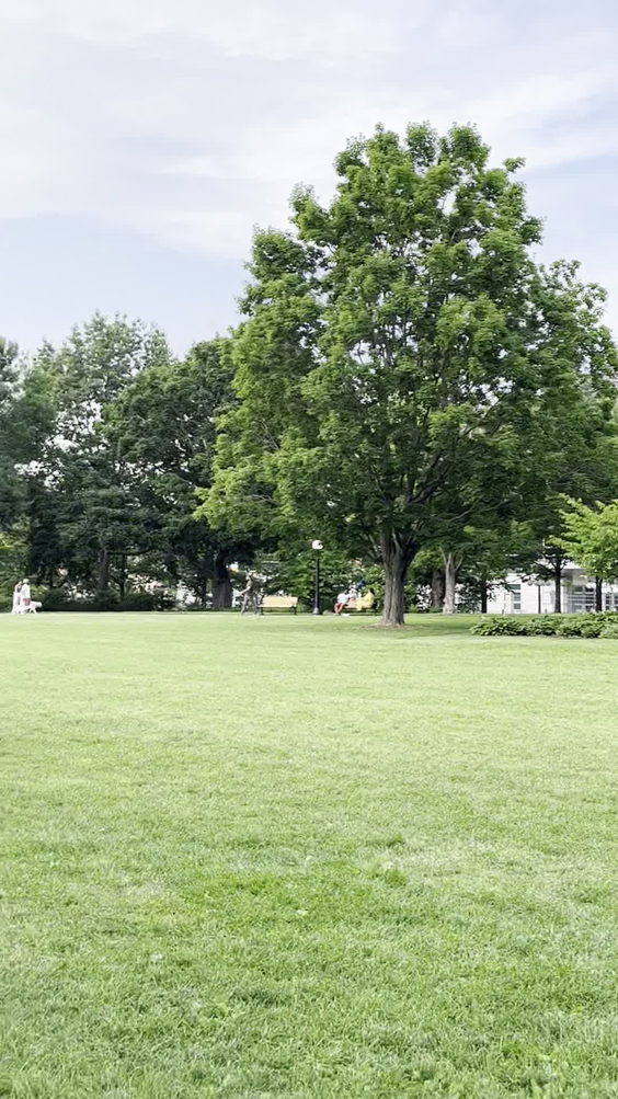 Major's Hill Park
