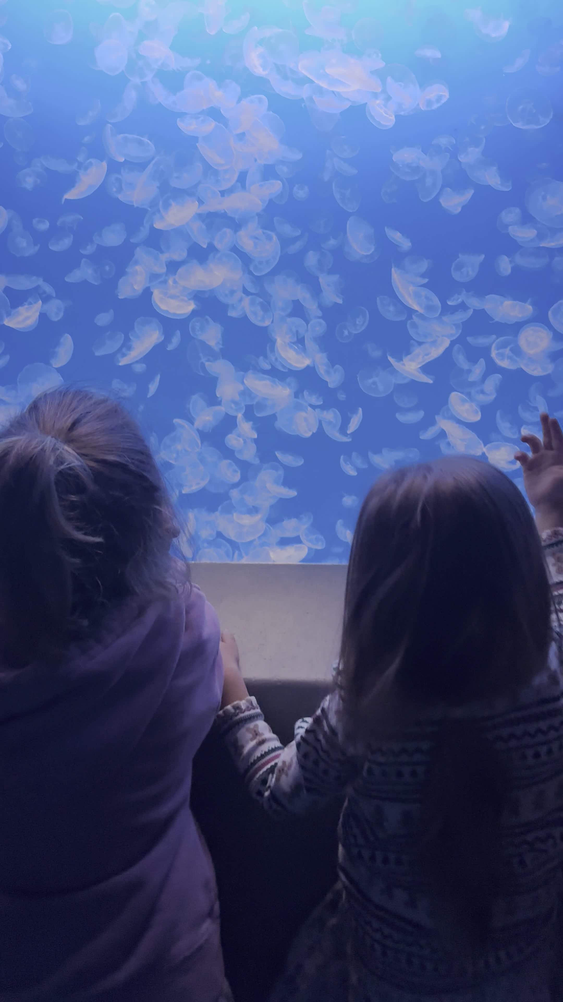 Monterey Bay Aquarium Cafe