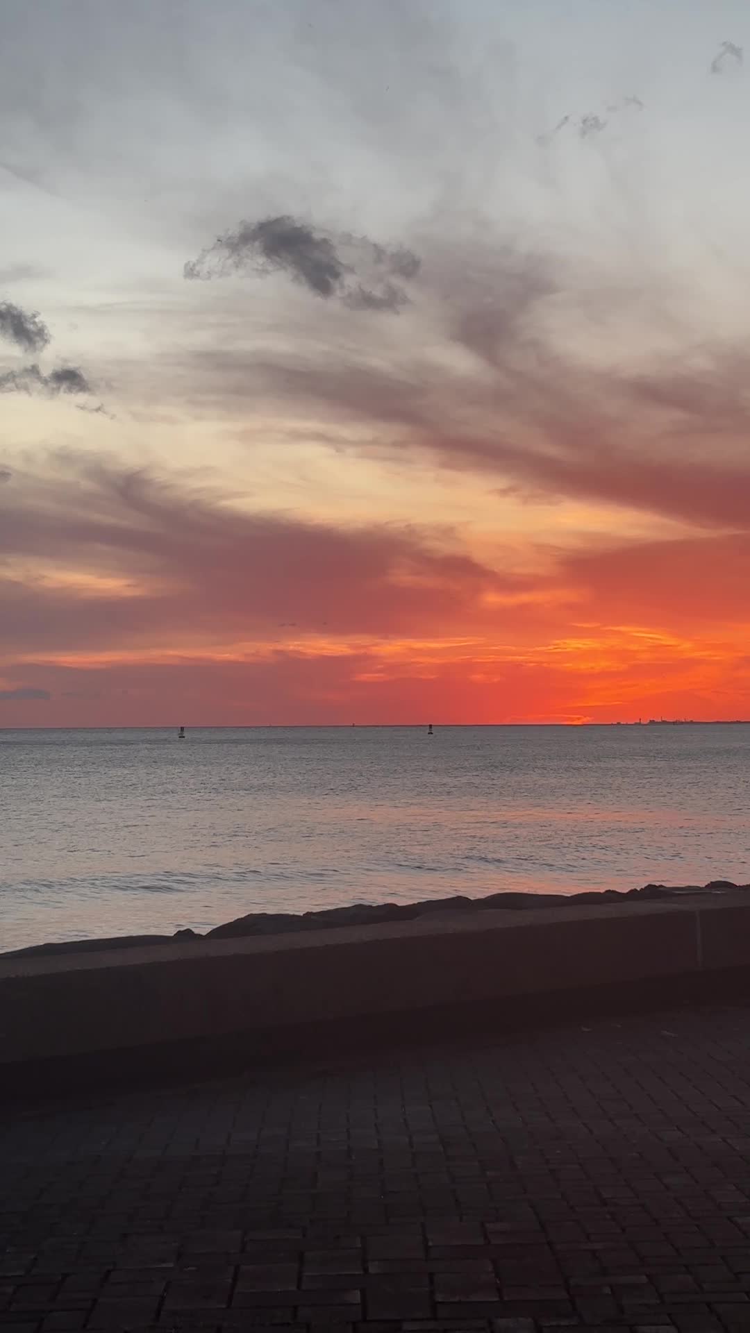 Video review of Kakaako Waterfront Park