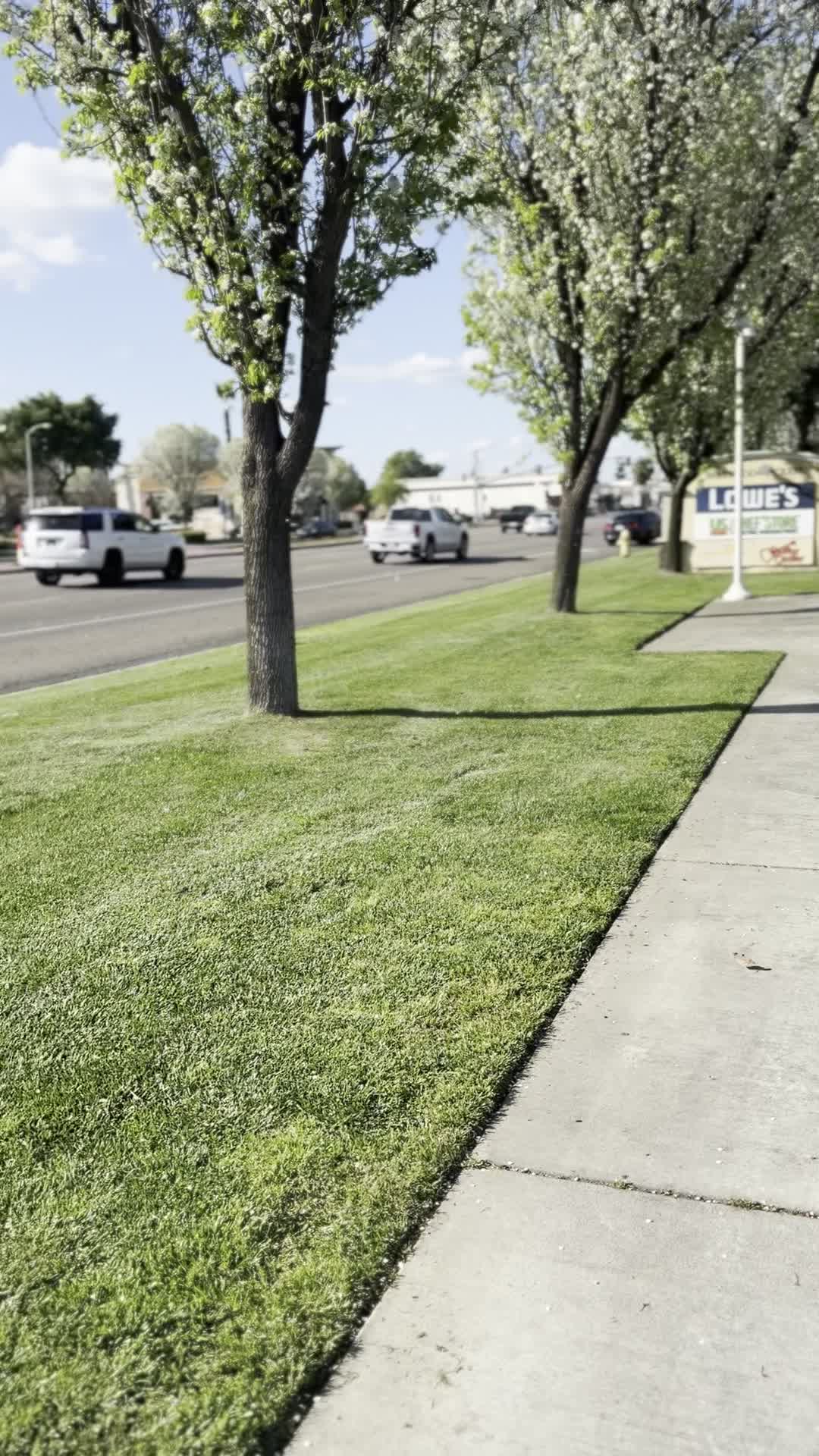 Video review of Olive Garden