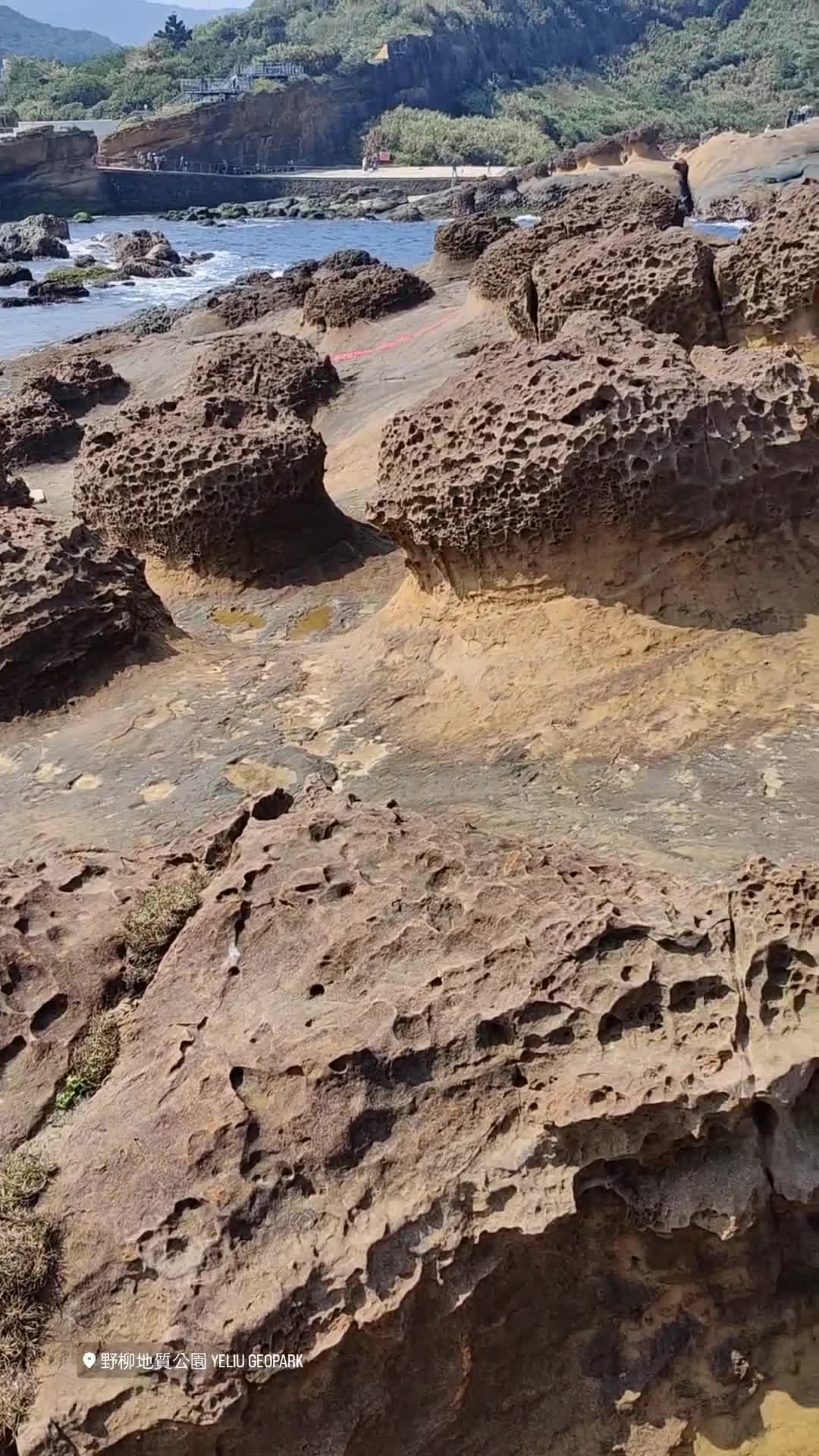野柳地質公園 Yehliu Geopark