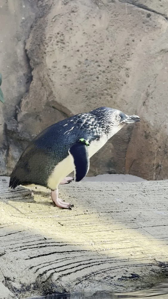 Cincinnati Zoo