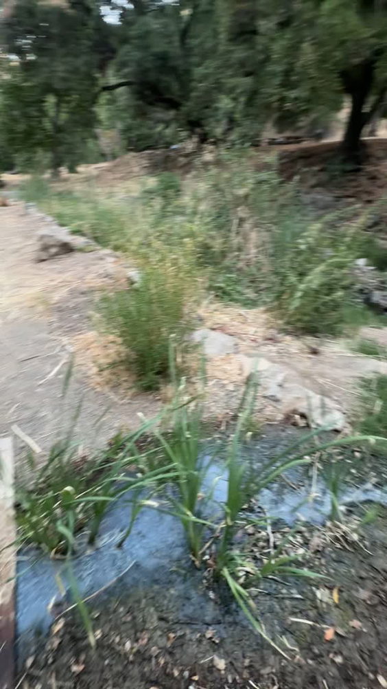 Alum rock park