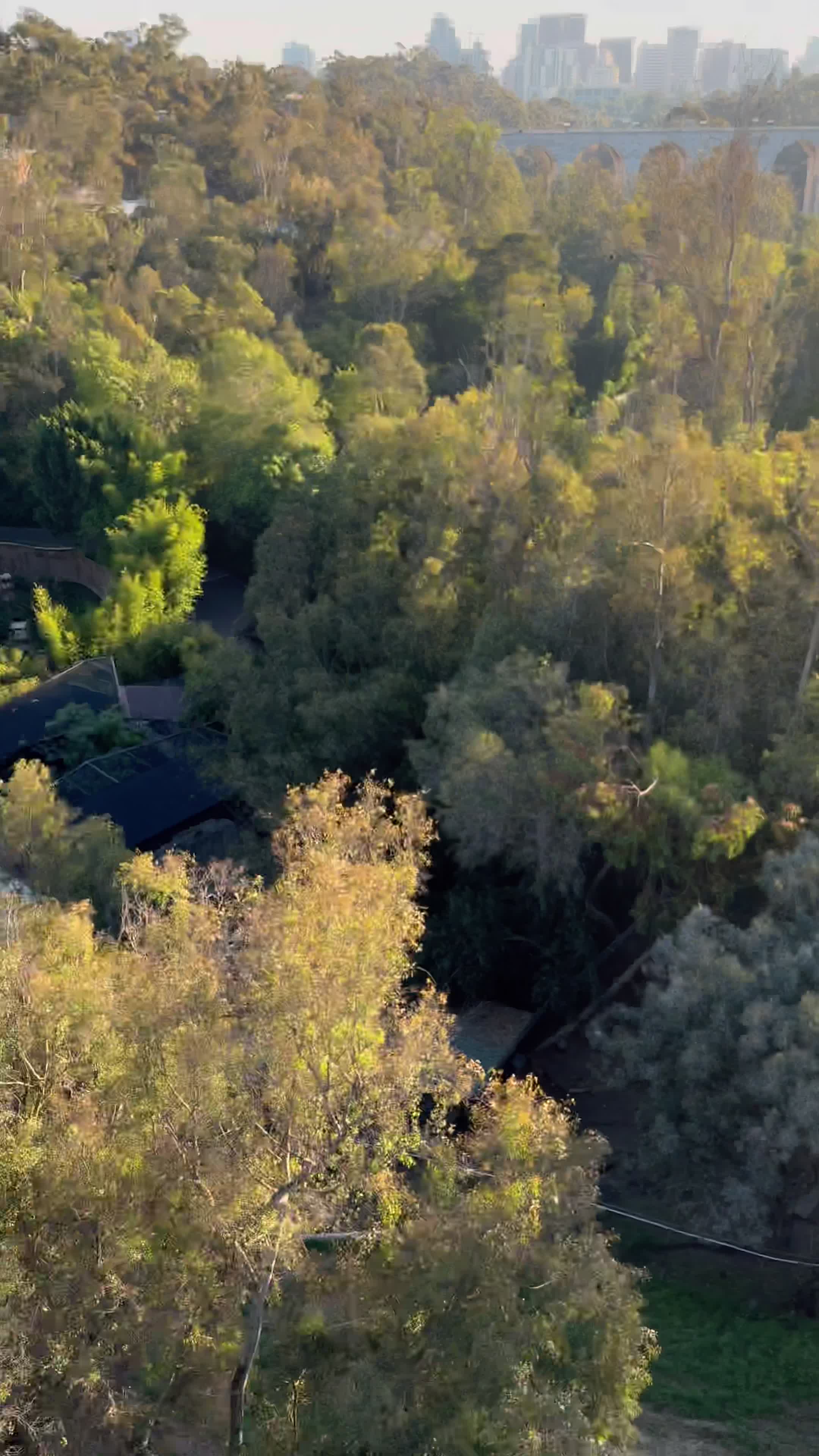 Video review of San Diego Zoo