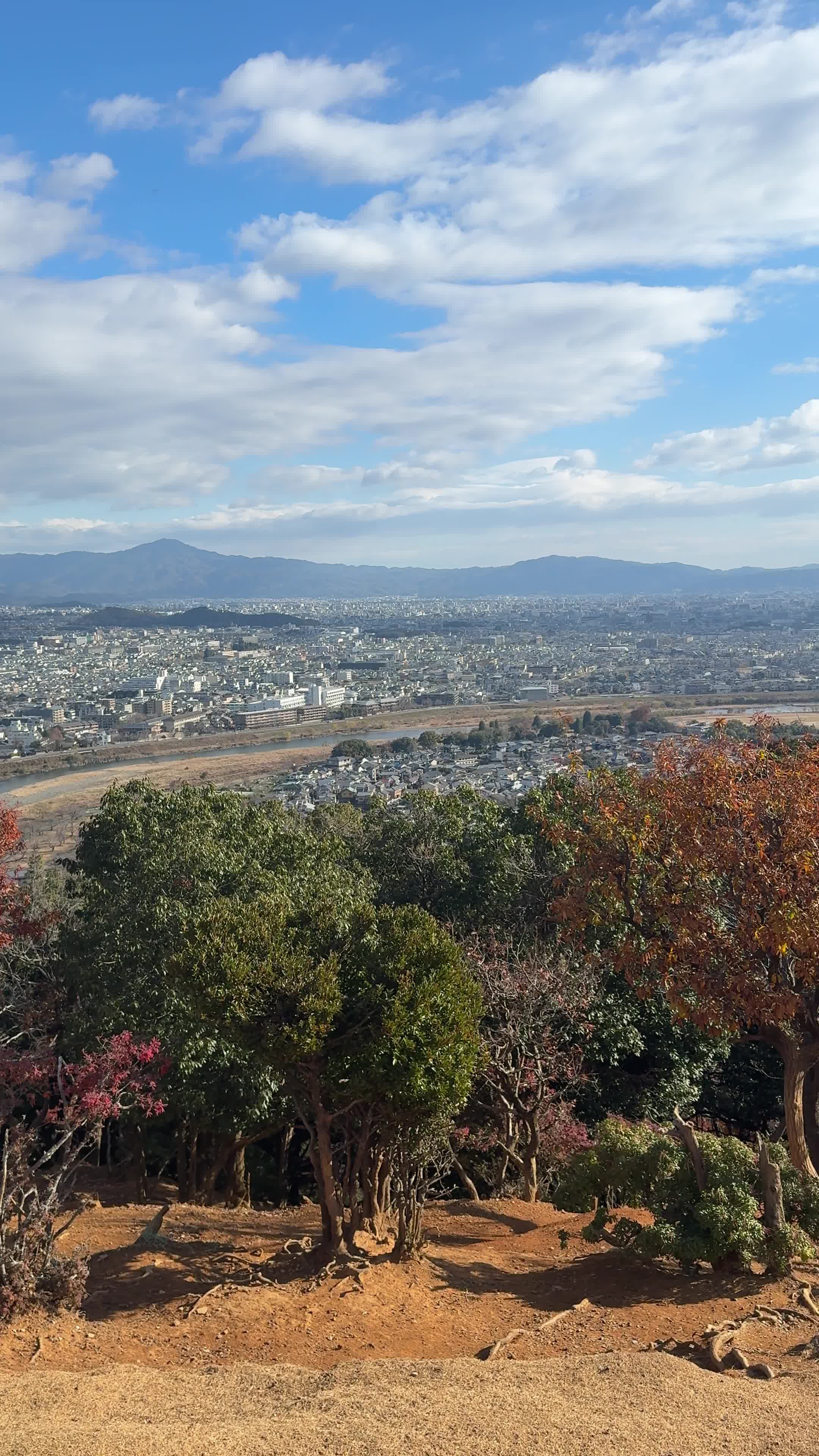Arashiyama Monkey Park Iwatayama (嵐山モンキーパーク いわたやま)