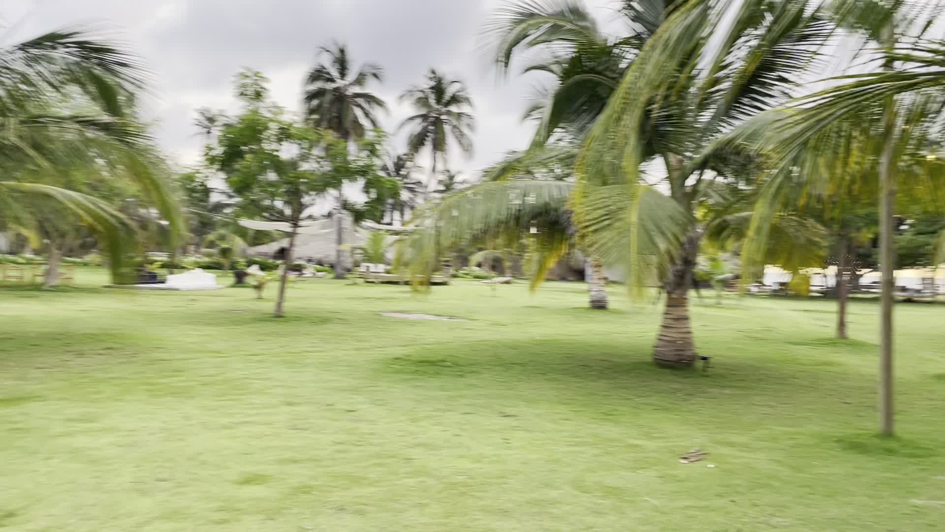 Hotel isla Mucura