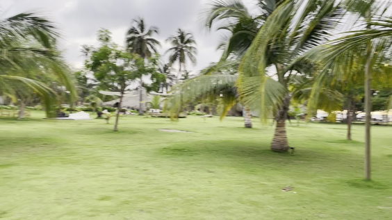 Hotel isla Mucura