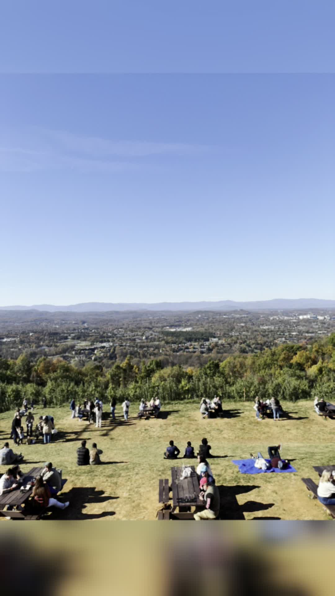 Carter Mountain Orchard