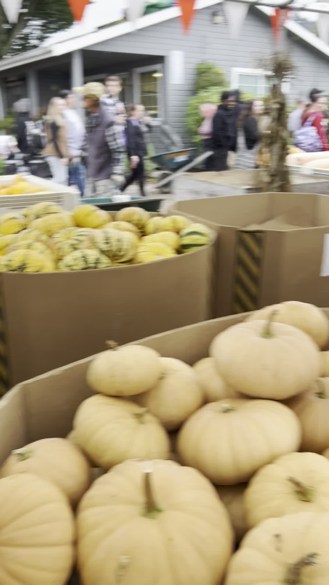 Spooner Farms