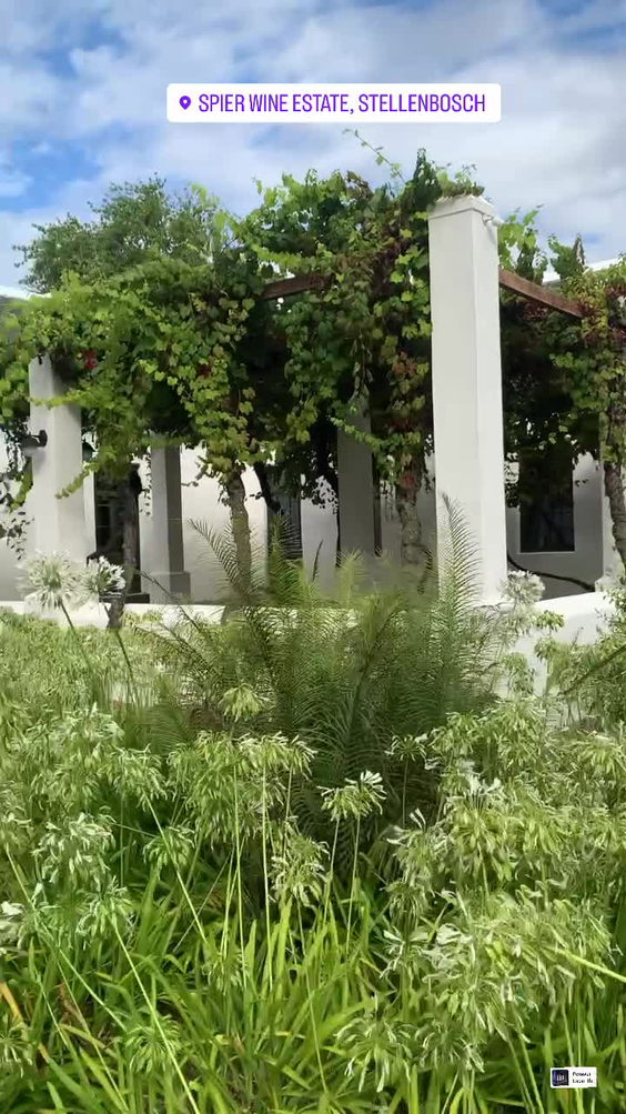 Spier Wine Estate Ampthitheatre