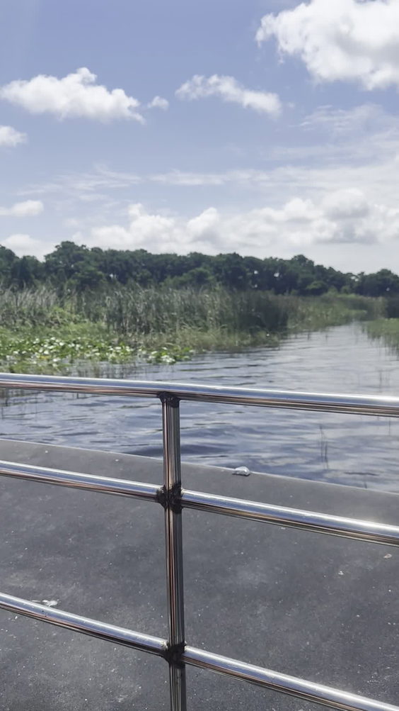 Wild Florida Airboats & Gator Park